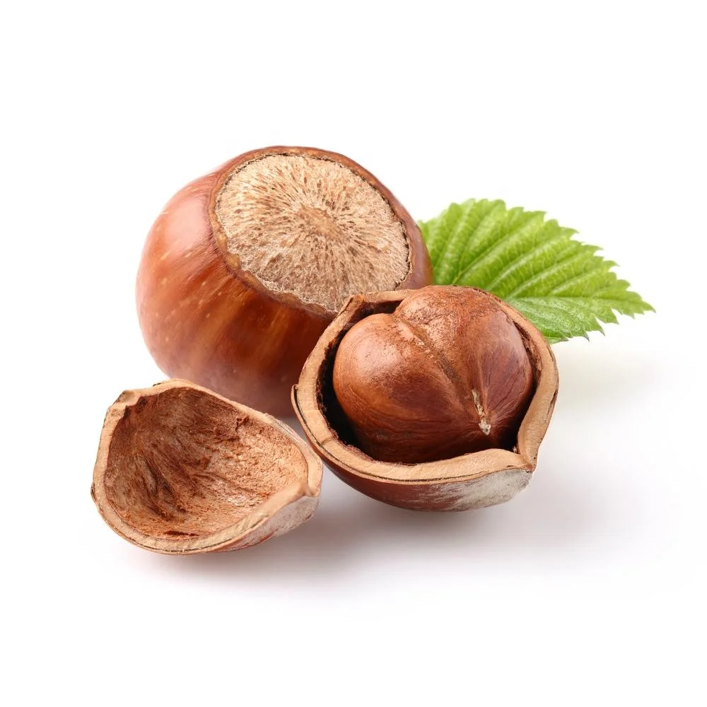 Exporter Of Hazelnut Oil