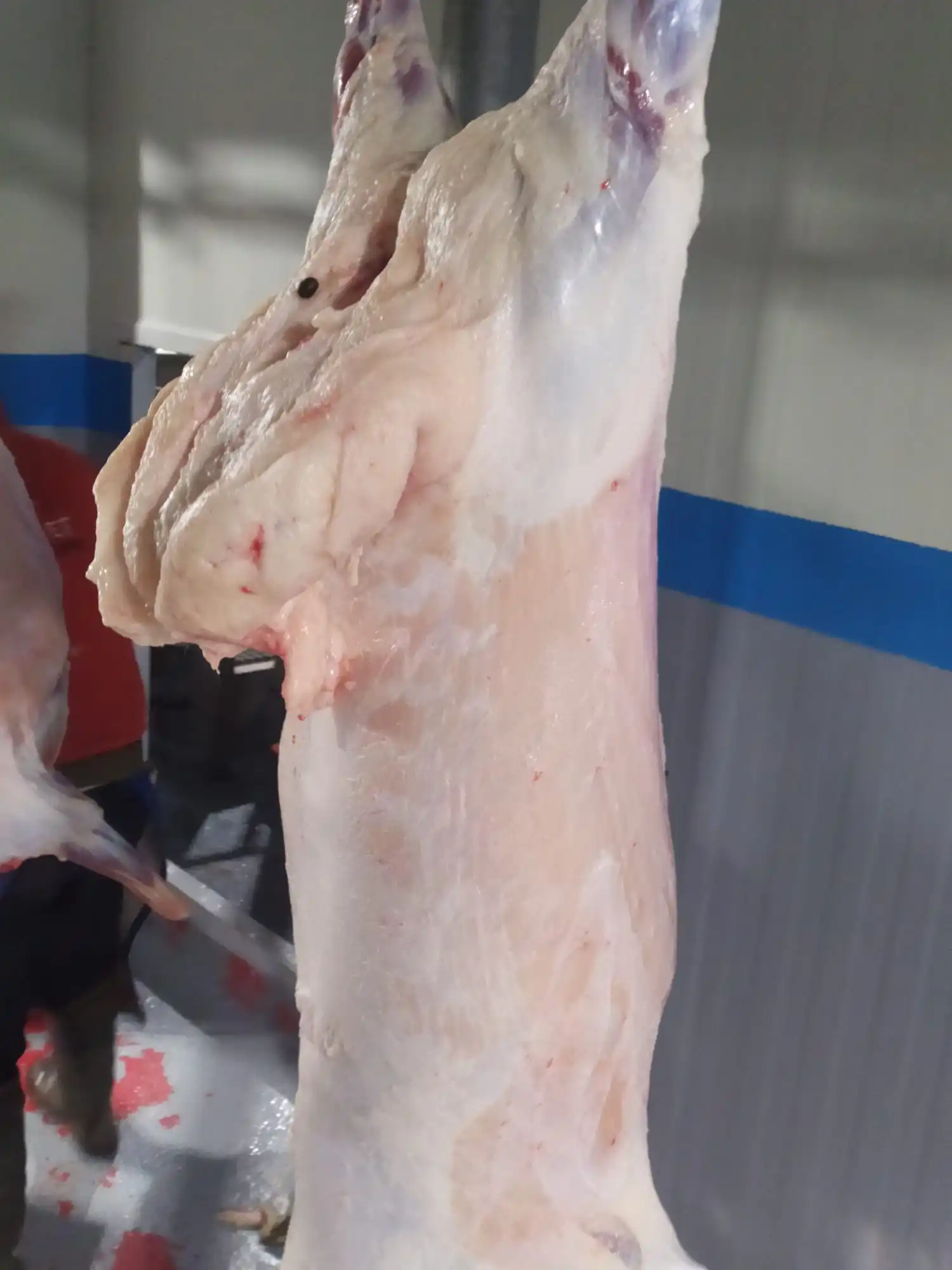 Высококачественный жир из хвоста ягненка-сертификат halal-печень турецкой Овцы-100% органический и полезный = вакуумный замороженный