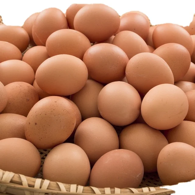 Свежий стол с яйцами и курицей для