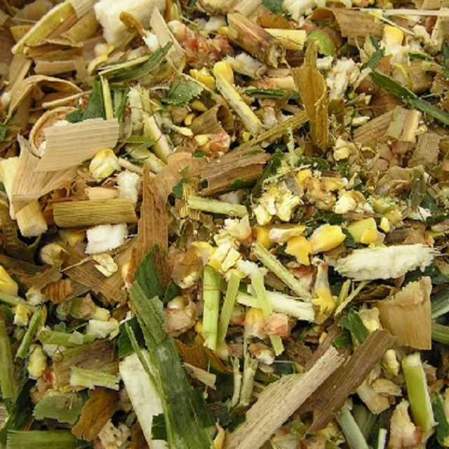 Vietnamese Corn Silage With Cheap Price Feed for Cows, Goats, Sheep, Horses Origin Viet Nam Available in Large Quantity