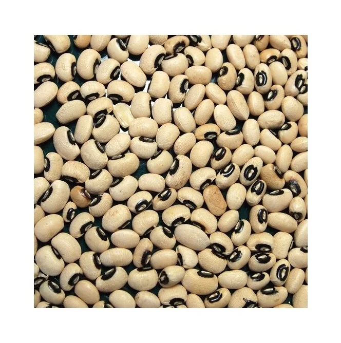 Cheap Price Supplier From Germany Ukrainian Black Eye Beans / White Cowpea Bean / Vigna beans At Wholesale Price With Fast Shipp