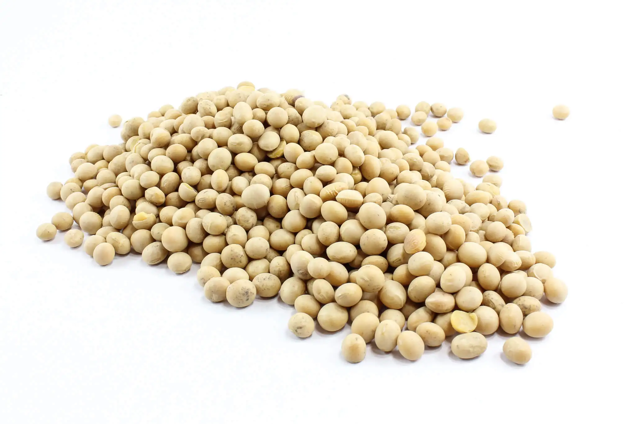Non-gmo Organic Soybean seed Suppliers / Soya Bean price / Soybeans Brazil