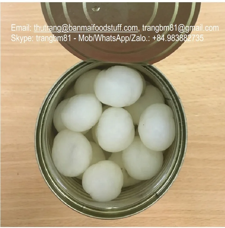 VIETNAM CANNED PITTED LONGAN SEEDLESS IN SYRUP,  WHITE COLOUR, CHOICE QUALITY GRADE, OEM ODM PACKING