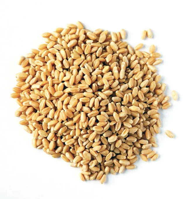 Hard white wheat and Canadian Quality Durum Wheat/Durum Wheat/Hard Wheat (10000009725048)