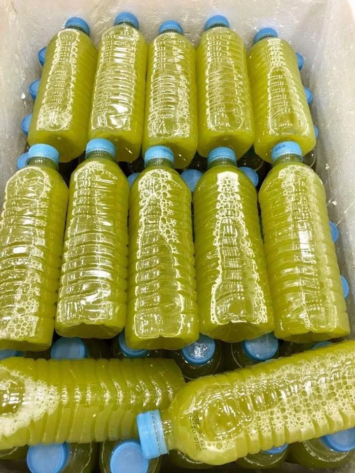 Factory Frozen Sugarcane Juice VIETNAM Sugarcane juice bottle for export Akina