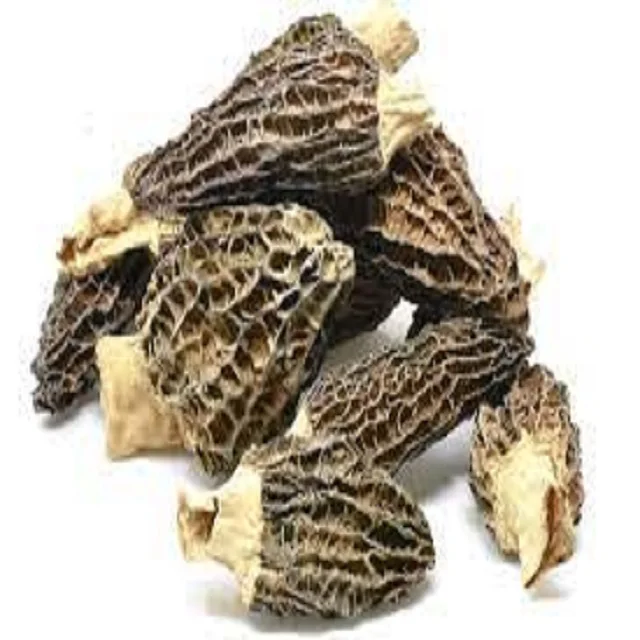 Free Samples Dried Price Morels Dried Mushroom Morel Mushroom