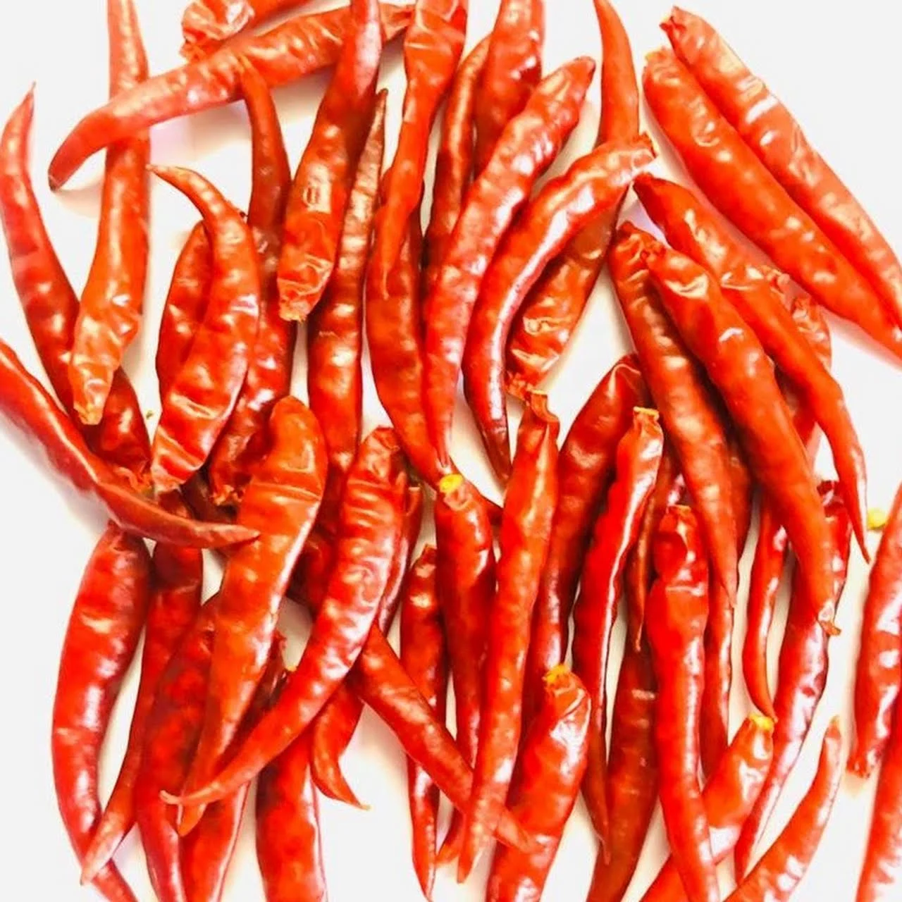 Wholesale red dried chili cayenne pepper chili pepper / Air Dried Red Chili Pepper