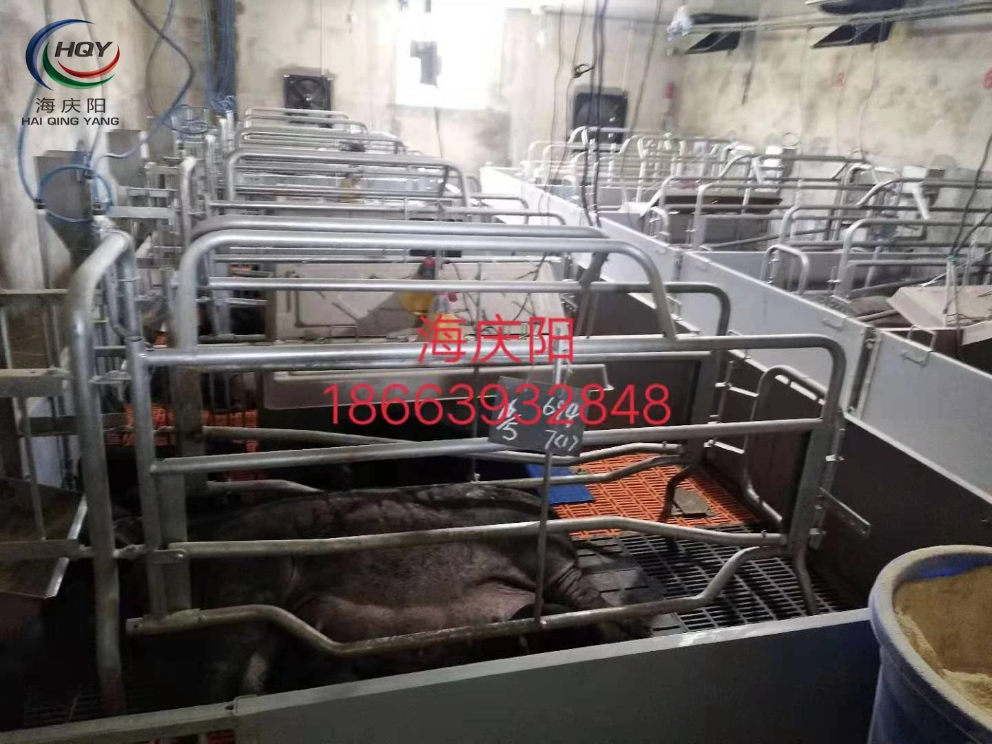 Новый продукт бывший в употреблении ящик из ПВХ alibaba оборудование для свиноводческой фермы свиней