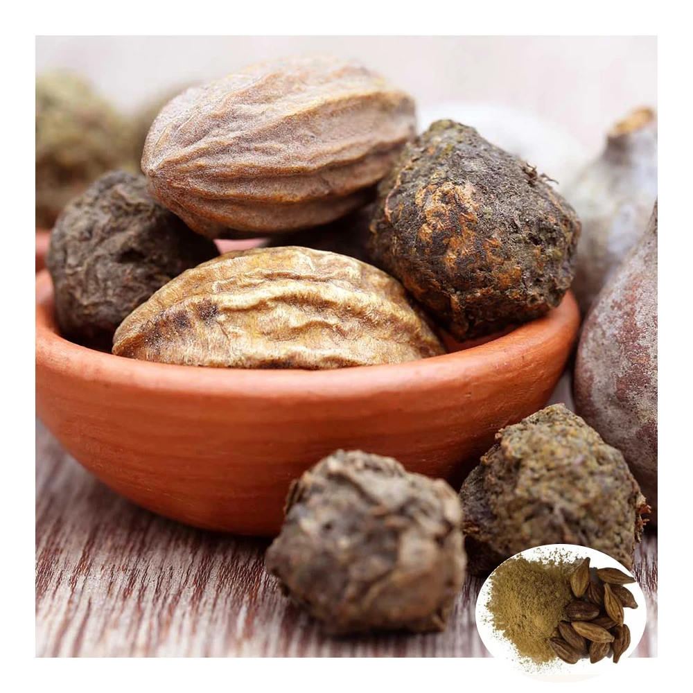 High Quality Haritaki Terminalia Chebula Extract Powder
