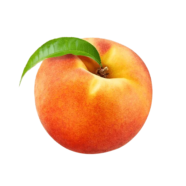 FRESH PEACHES FROM SOUTH AFRICA