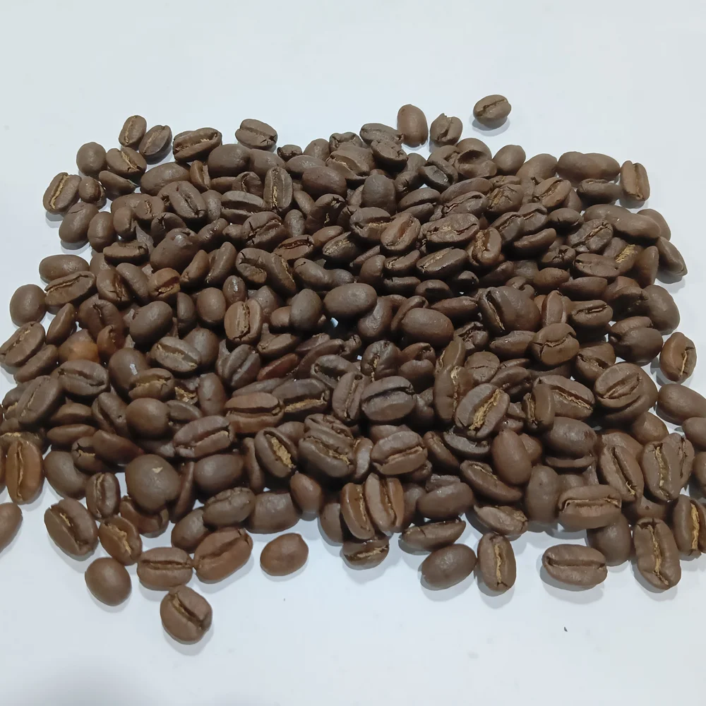 Premium Quality Whole Bean Sumatra Civet Coffee Specialty Grade Roasted for Connoisseurs including certificate