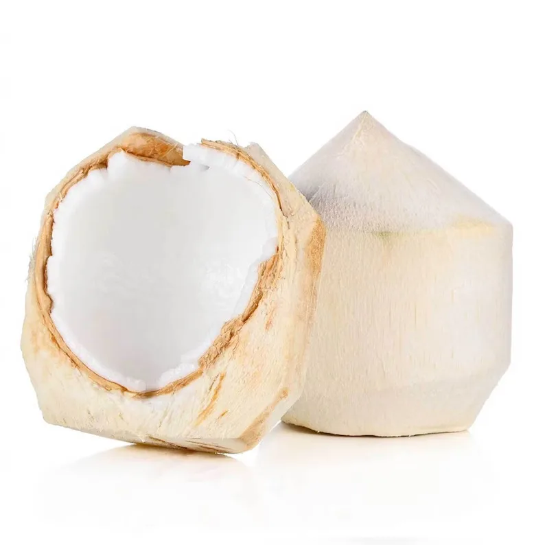 Young Vietnamese Fresh Coconuts/Diamond Shaped Fresh Young Coconuts for Summer Drinks Naturally Sweet and Fragrant High Quality