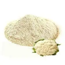 High Quality & pure 100% Natural and Organic Factory  Cauli flower  powder Manufacture  low price sales in India