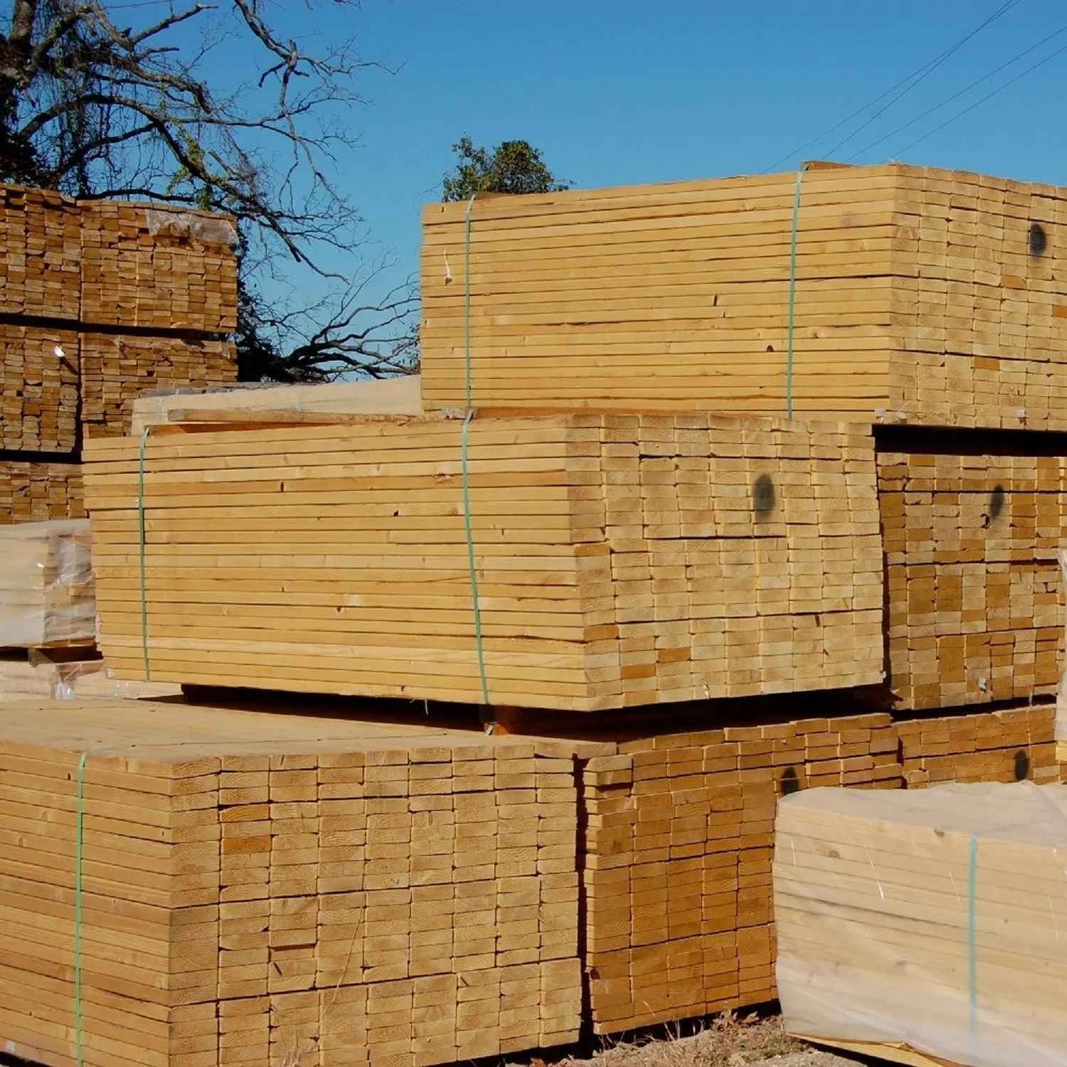 Wood Lumber Radiata Pine Wood mgp10 Lumber F7 F5 TIMBER Construction Frame