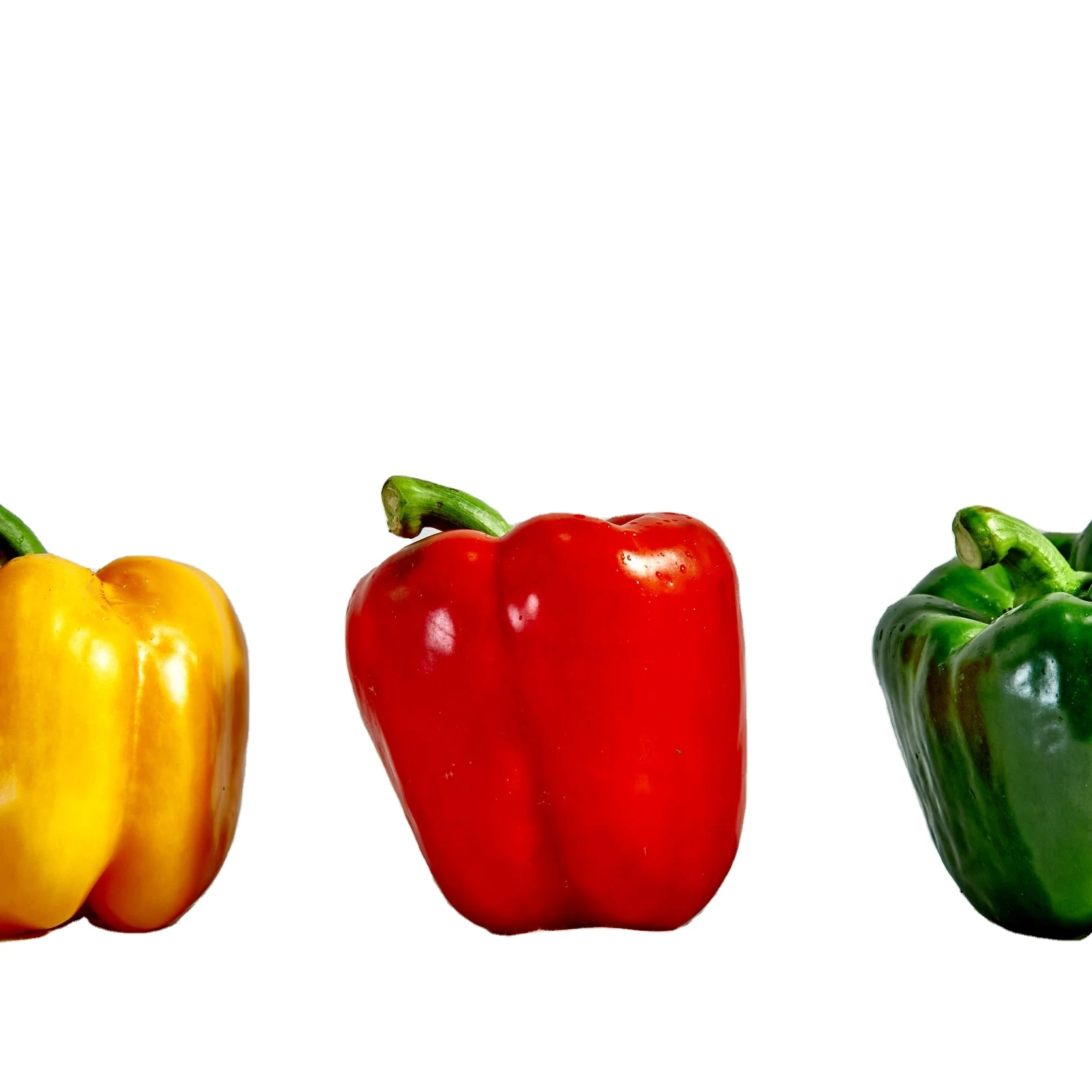 Fresh Capsicum Bell Pepper Spicy Light Sweet For Cooking Spices From Wholesale Vietnam High Quality Standard Ready To ship