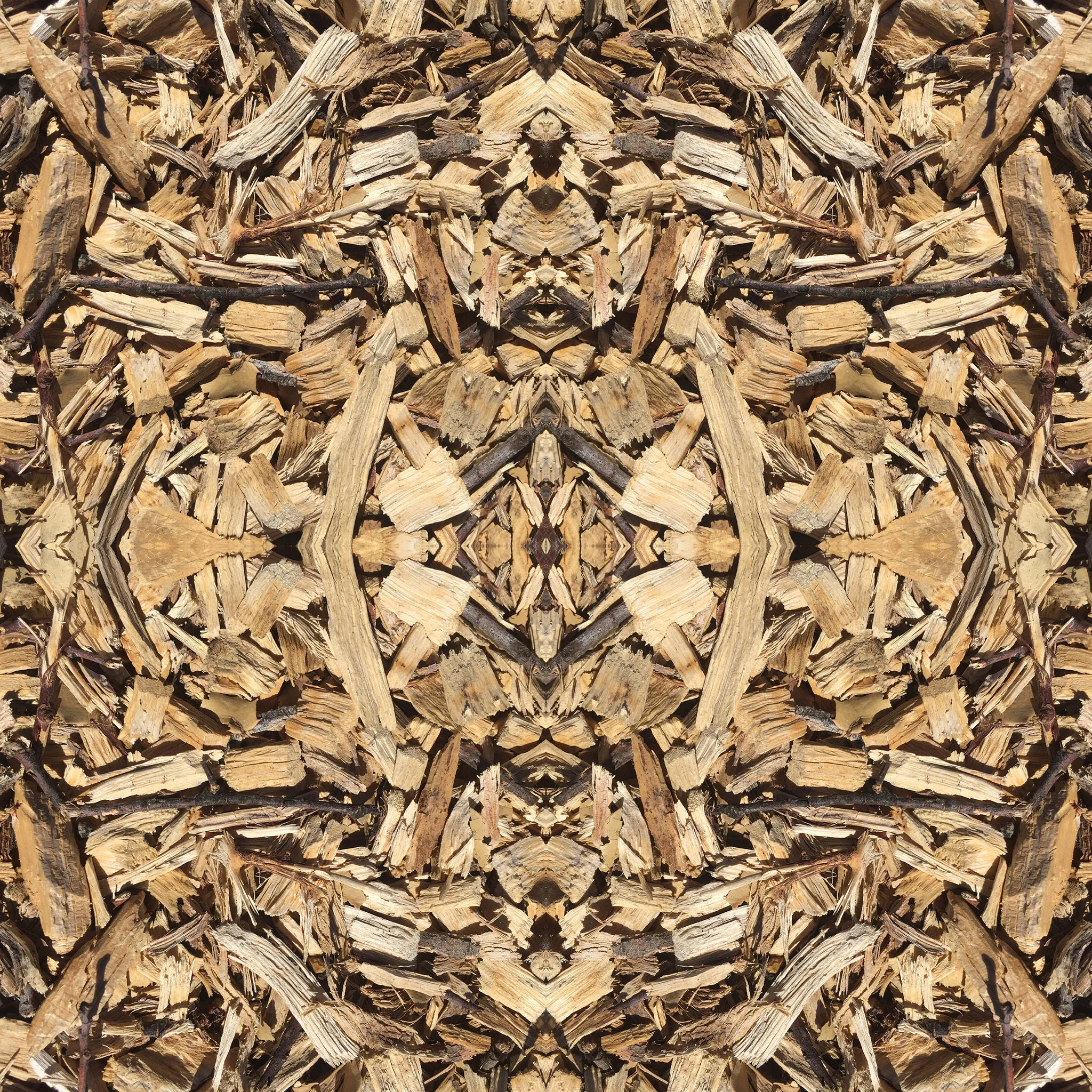 Pine Wood Shavings / Sawdust / Wood Chips FOR NEW MARKETS for sale