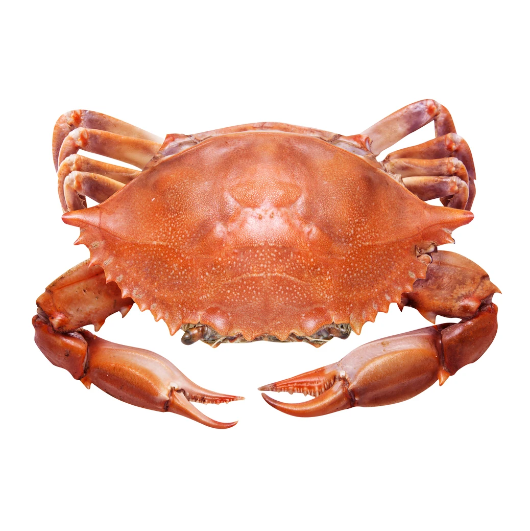 Hot Sale Fresh Red King Crab Fresh/frozen/live Red King Crabs,Soft Shell Crabs,Blue Swimming Crabs