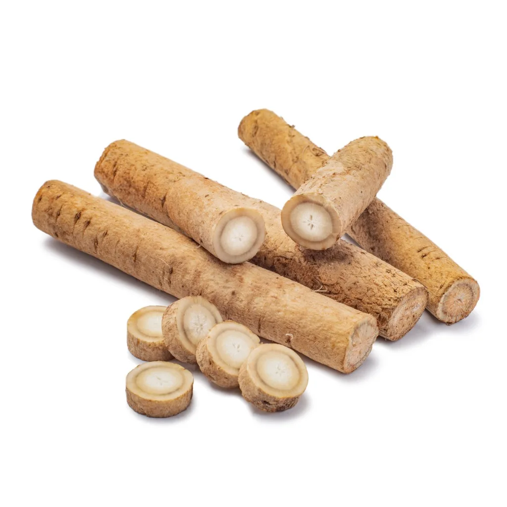 Premium selection fresh golden Burdock