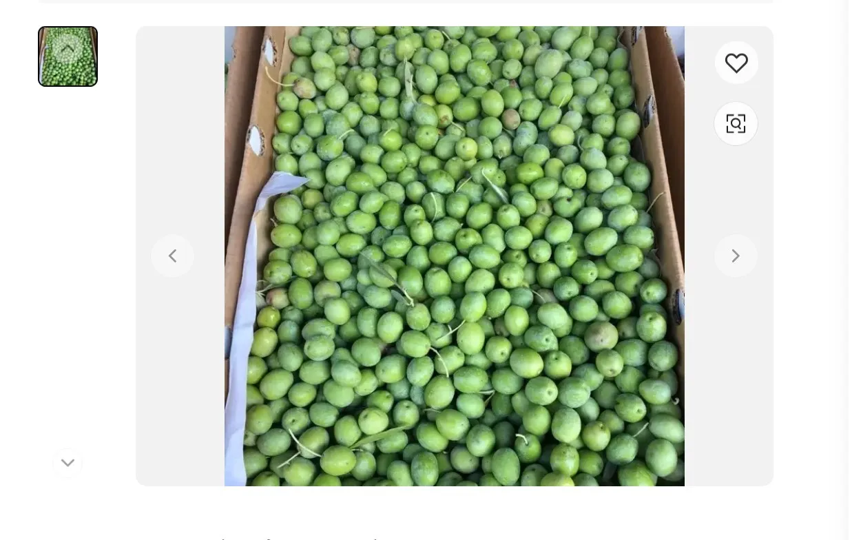 fresh olive.jpg