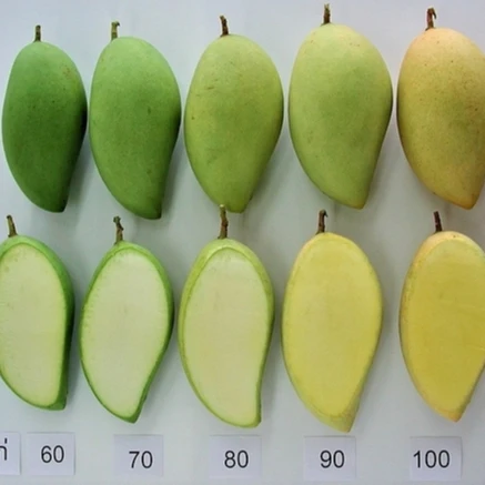 Свежий манго