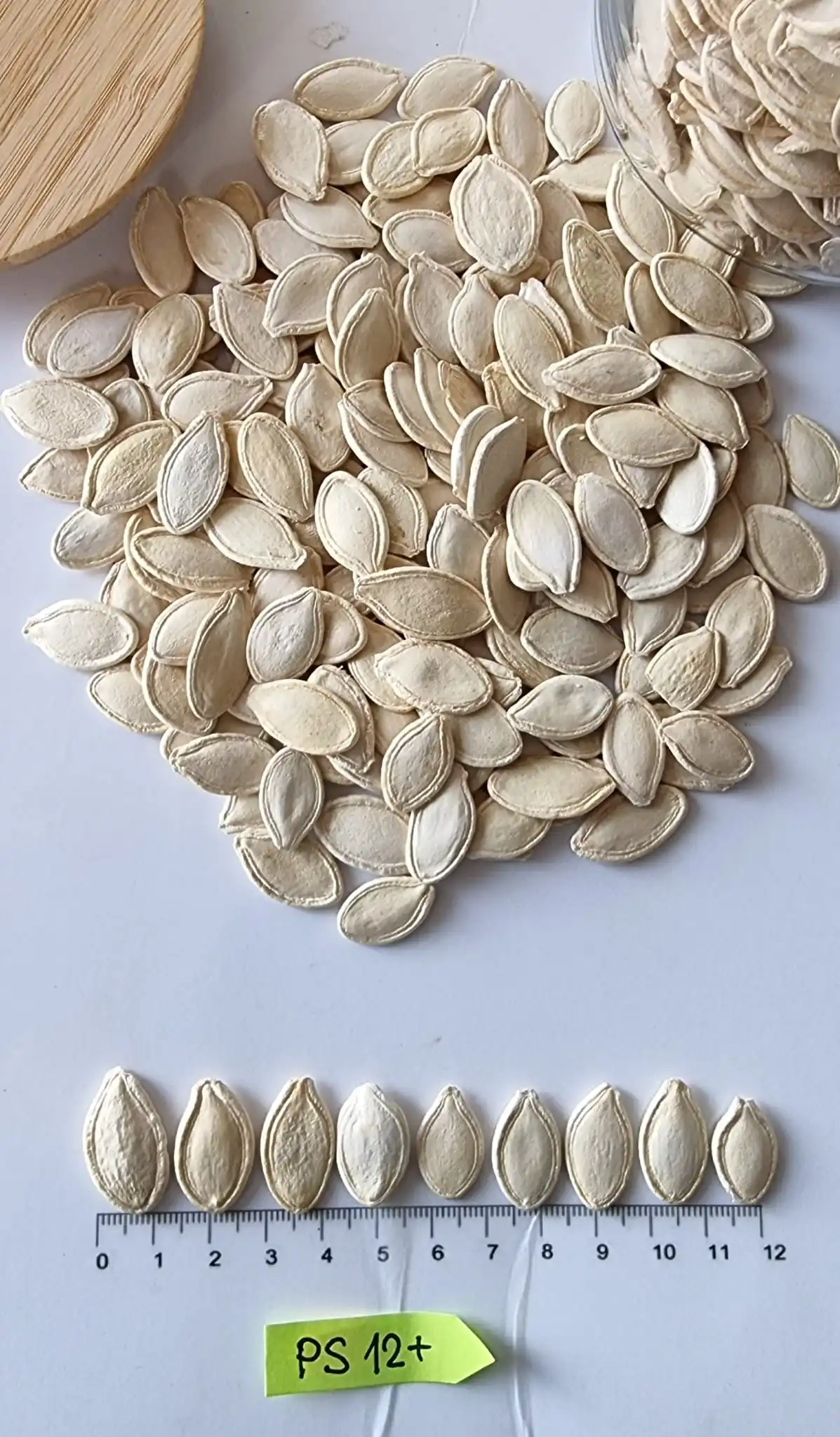 Pumpkin seeds Food & Beverage Snacks Nut & Kernel Snacks Healthy  Food Store Bulk Packaging Bulgarian Origin New Crop Best price