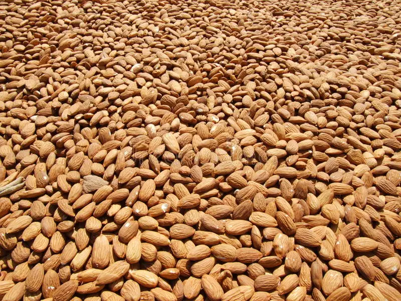 California Almond Nuts