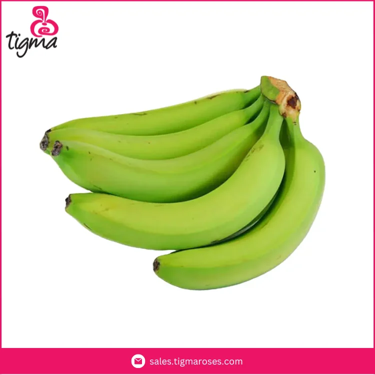 Best Quality Premium Grade 100% Natural Fresh Cavendish Bananas Originated from Ecuador Manufacturer