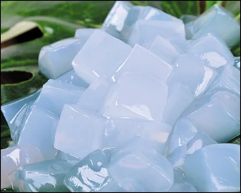 Заводская цена прессованное сырье Nata De Coco/кокосовое желе для корейского рынка Бангладеш в сиропе/Ms Jenny + 84 905