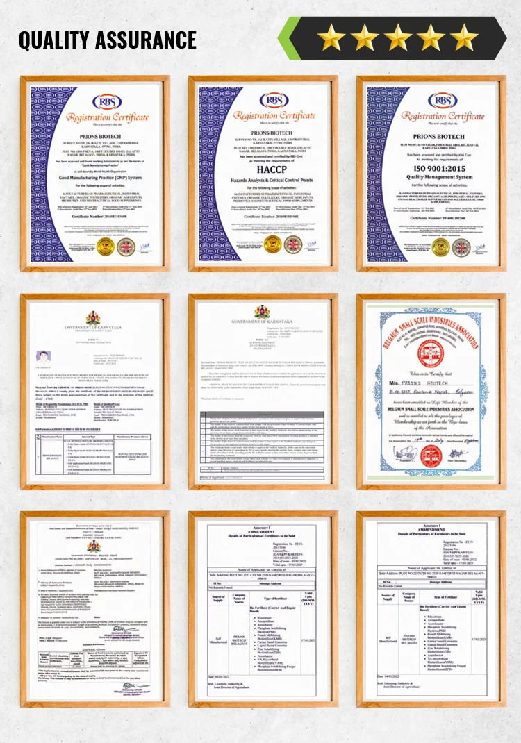 Certificates.jpg