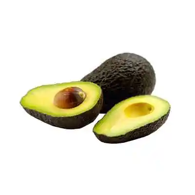 Wholesale Fresh Premium Avocado for sale