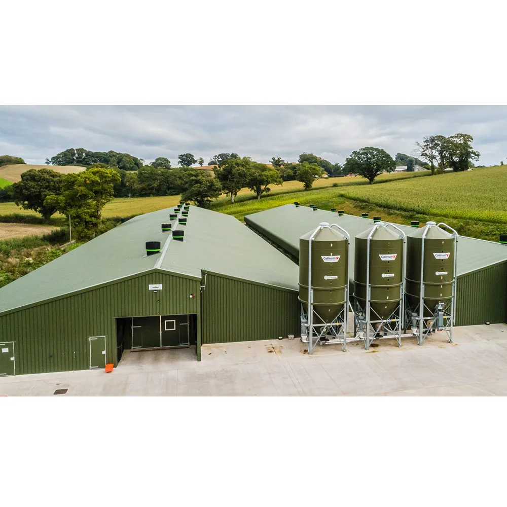 cheap layers cage 1000 chickens poultry farm house broiler chicken house poultry farm design