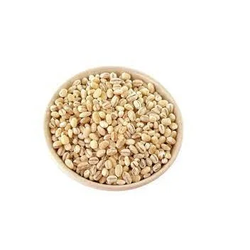 Cashew Nuts - Direct Factory - W180, W240, W320...