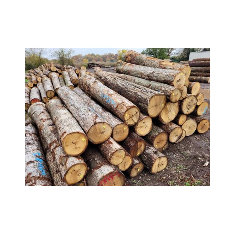 Hard Wood Firewood Birch Wood Oak and Beech Log Firewood / Mangrove Hardwood Firewood for Sale in Bulk Quantity 28 C/83F Biofuel