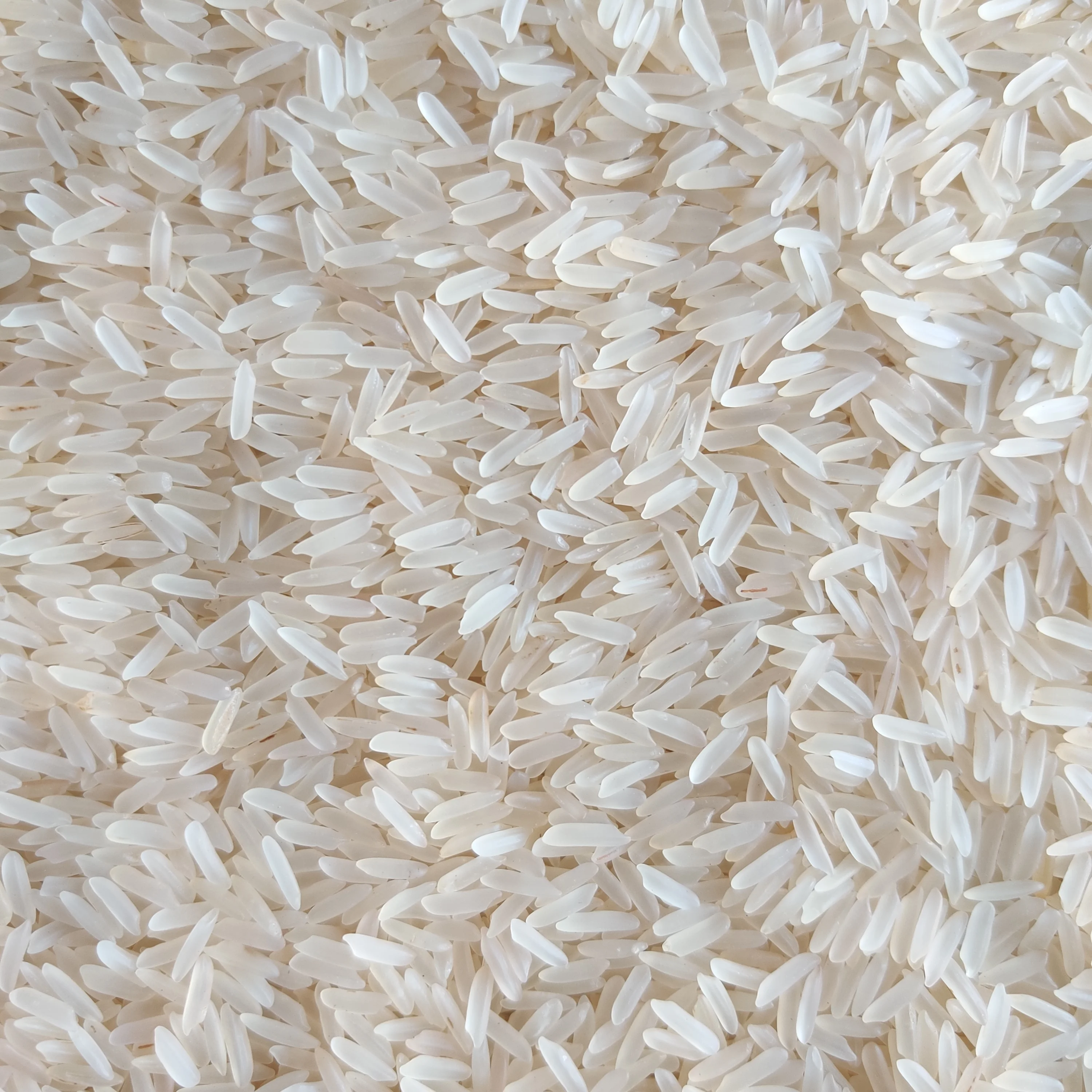 INDIAN ORIGIN PR11 SELLA BASMATI RICE PREMIUM QUALITY
