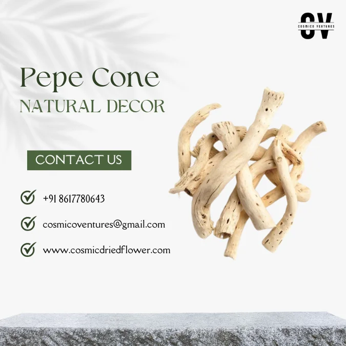 High Quality Wholesale Natural Pepe Cone for Potpourri, DIY, Events Decor & Other Dried Flower Decor