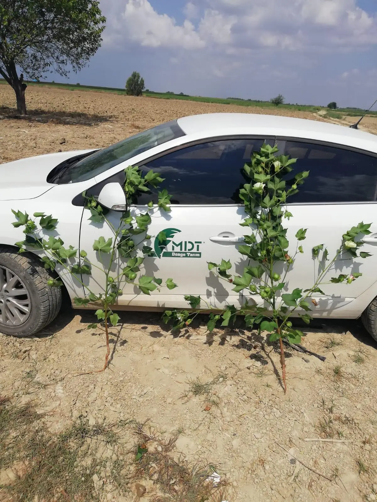 Green Tech international -   Green Tech copper-Mix  - Liquid Fertilizer - Liquid Seaweed - Biostimulants - Organic Fertilizer