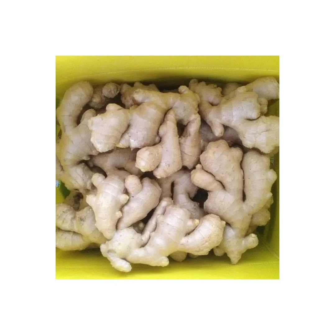 fresh ginger and air dry ginger with cardboard box and plastic carton