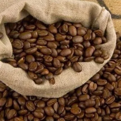 Organic Coffee High Quality Organic Coffee Whole Grain and Enriched Taste Best Flavored Brazil Raw Coffee Beans