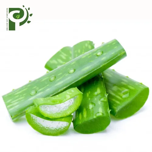 Top Best Seller Aloe Vera 100% natural from vietnam