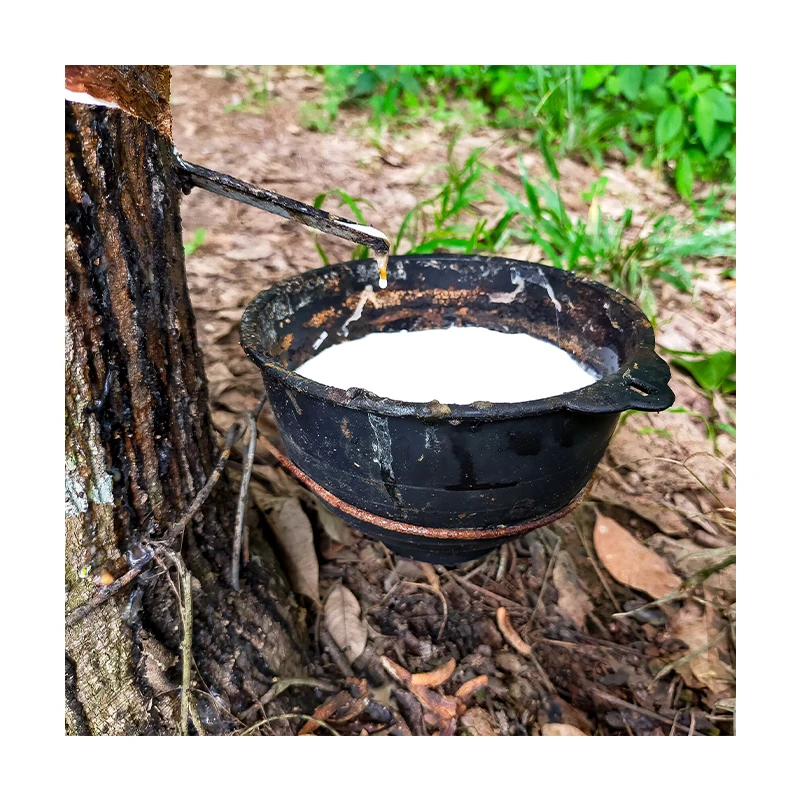 Best Selling Price Natural Latex Low Ammonia From Vietnam Origin Suitable To Many Manufacturers of Rubber Products