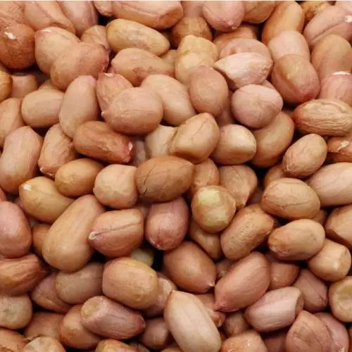 Премиум класс nutrion дорожный арахиса