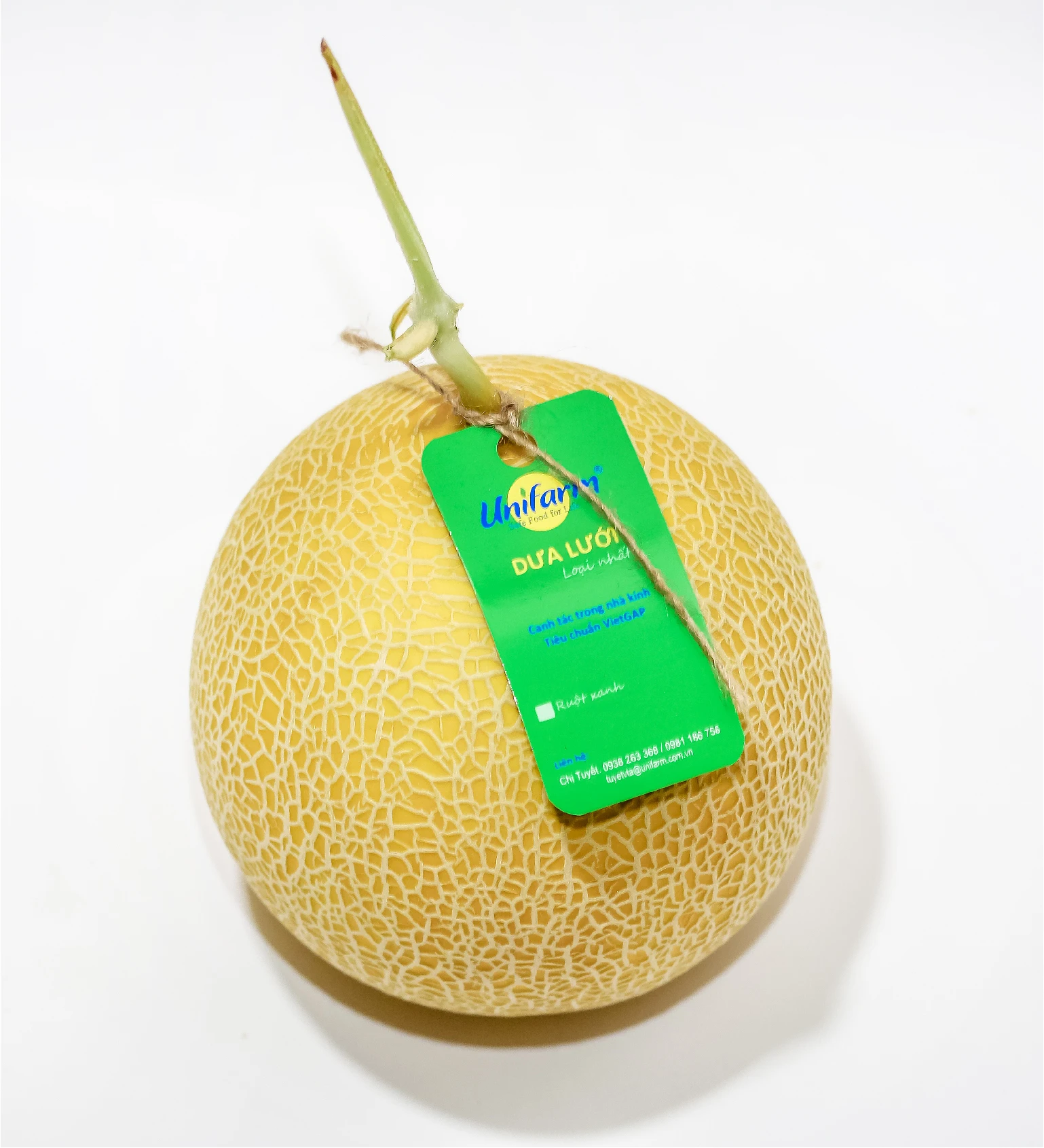 Fresh Honeydew melon for Sales Fresh Fruit of Japanese Cantaloupe Type  made in Vietnam