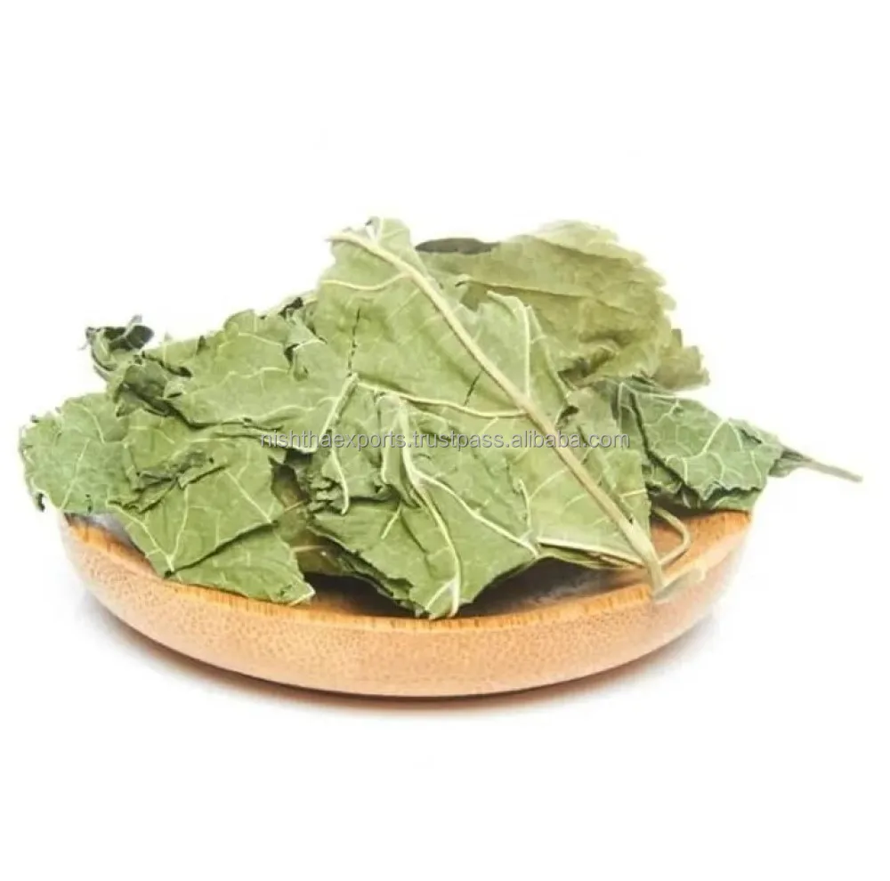 Mulberries Leaves Kalpa Vruksha leaves Mulberry Leaf Kalpvraksha Patti Dried Raw Herbs Plant Extract Herbal Product
