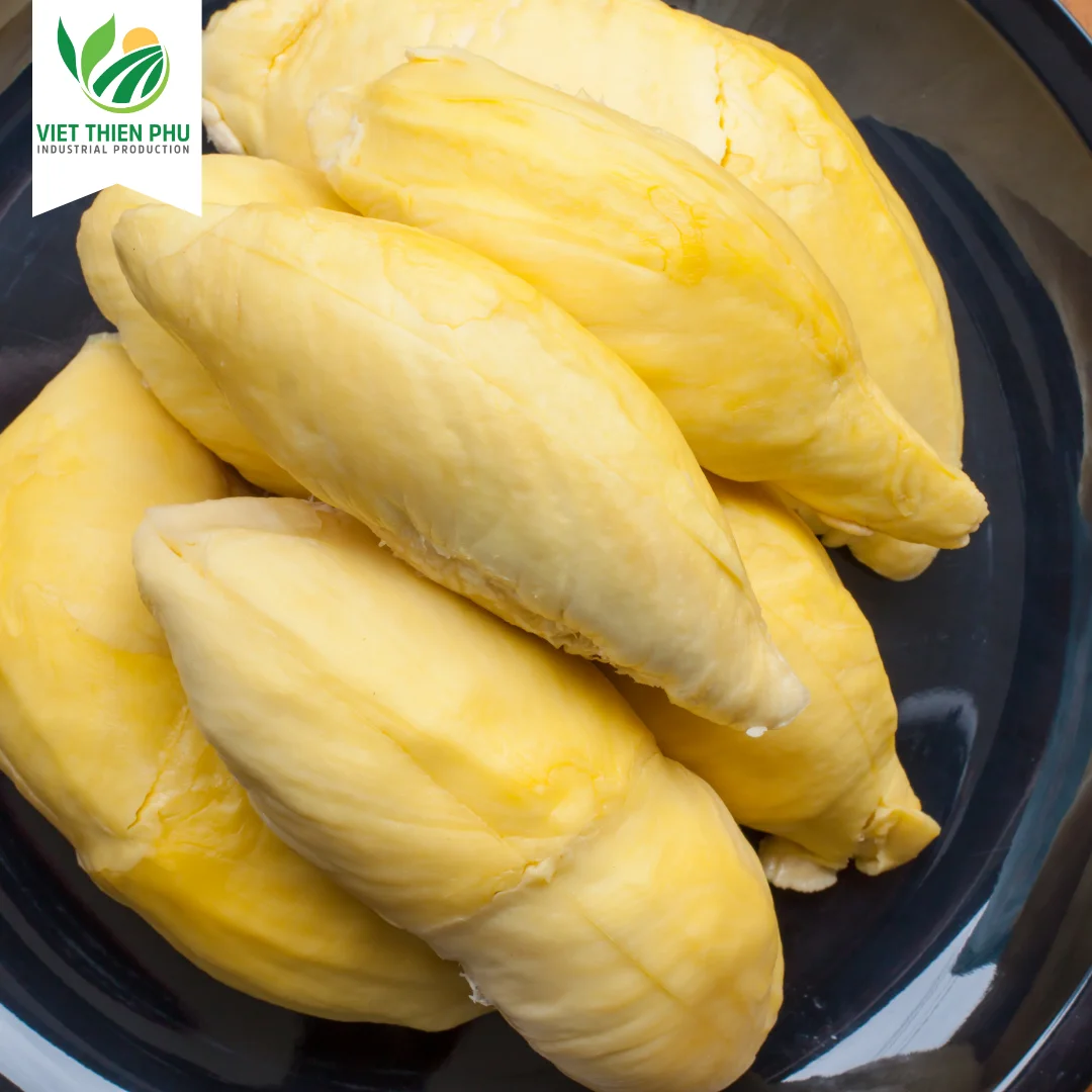 Frozen Durian Ri6/ Frozen Durian Monthong/ Fresh Durian From Viet Nam