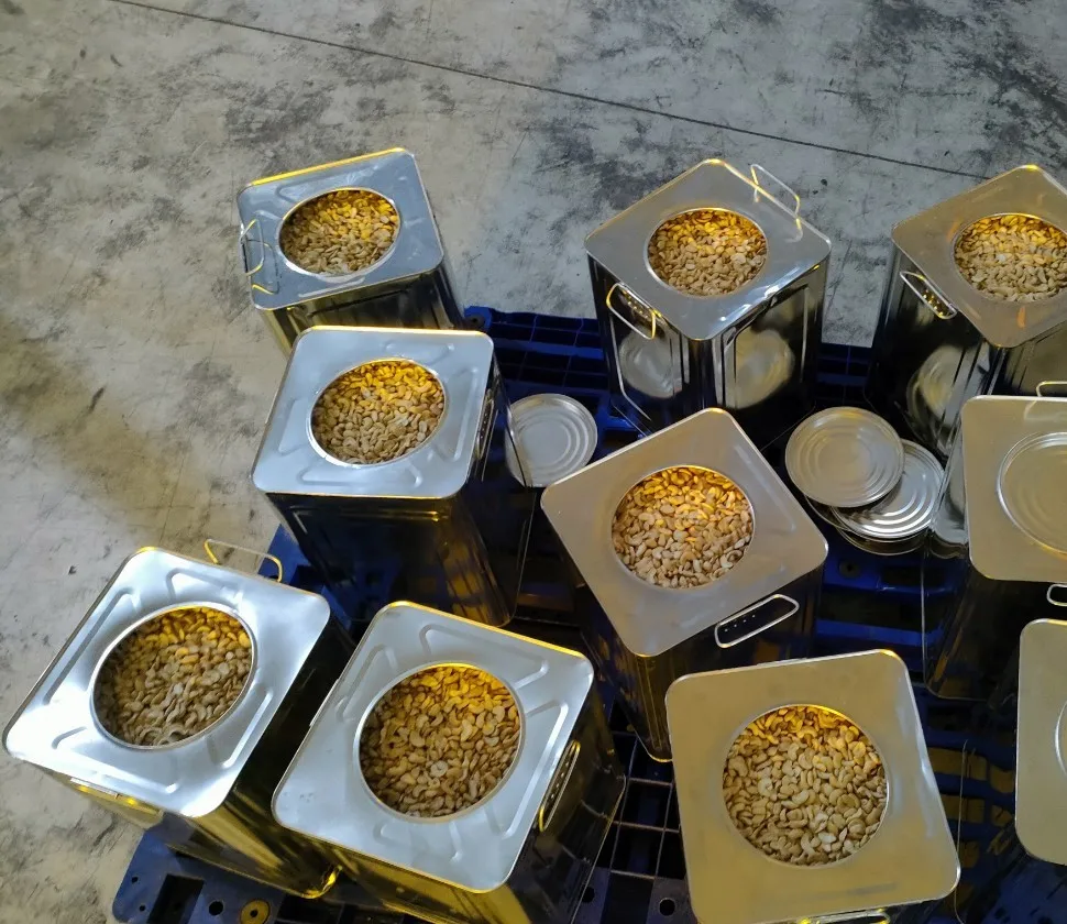 WW320 Cashew nuts Vietnam new crop Natural Color Vacuum bag in carton / Tins in carton w240 / w180 / SP / BB / WS