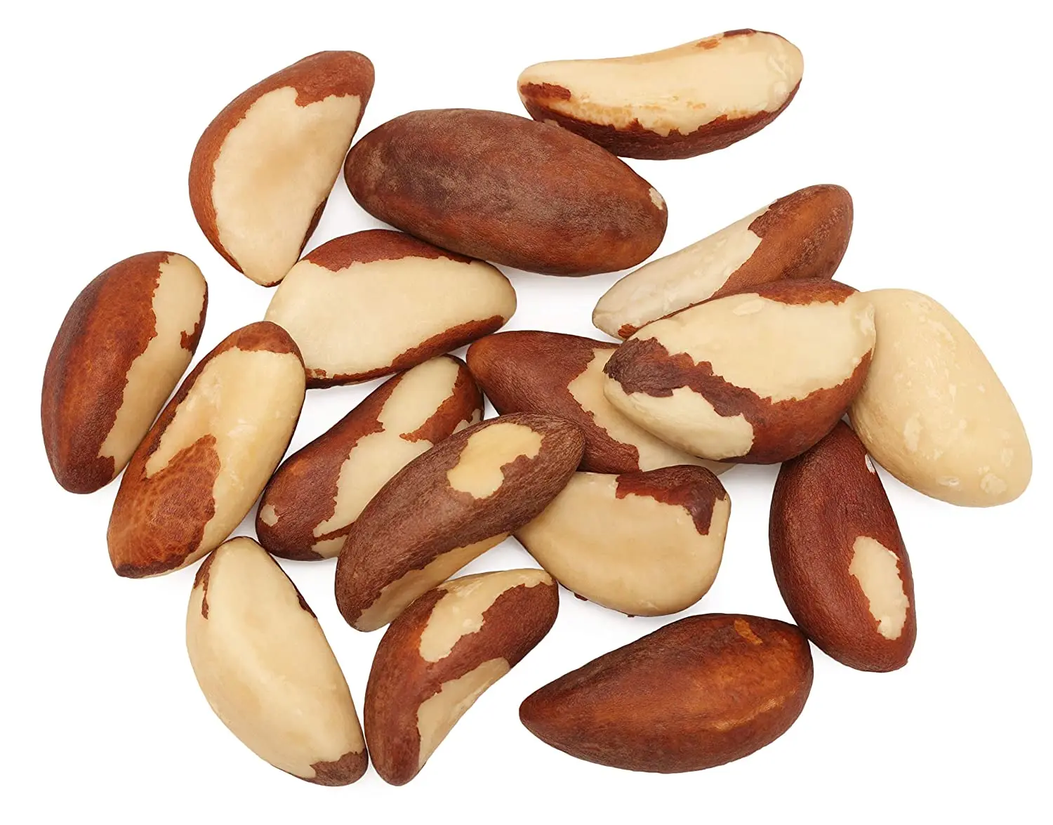Raw and Roasted Cheap Price Brazil Nuts