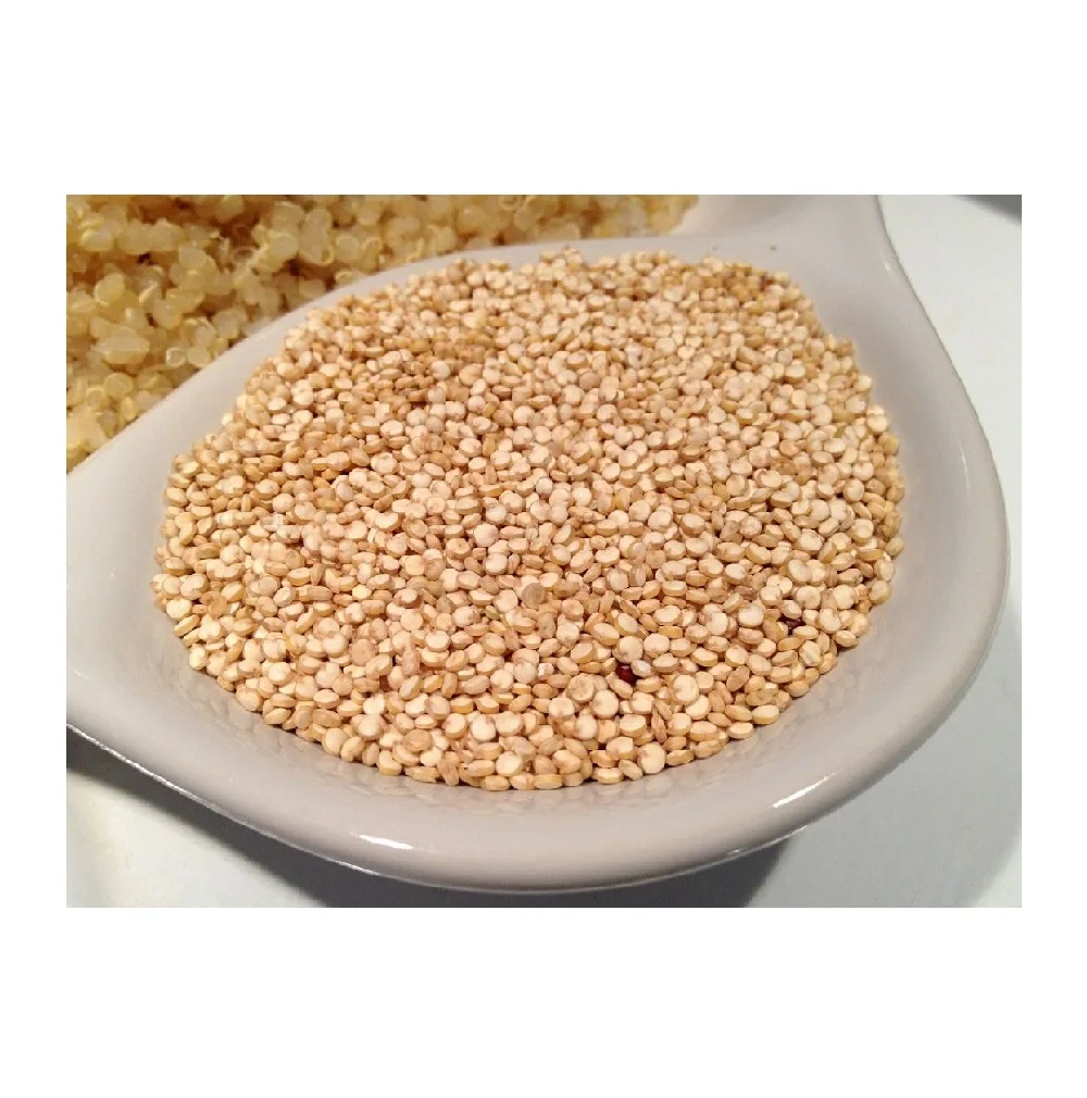 Premium Quality Pseudocereal Grains Sale Get Your Superfood Grains