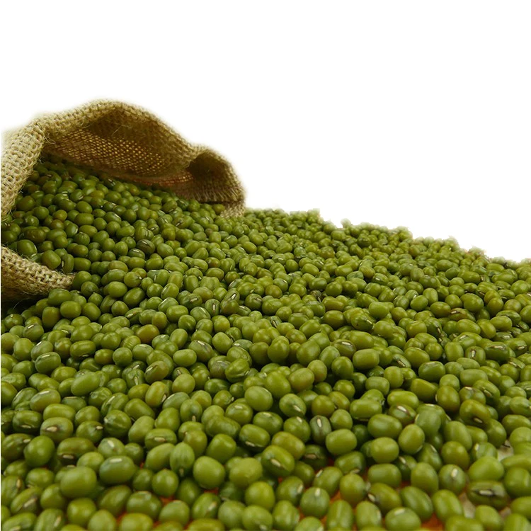 High Quality Wholesale Green Mung Beans Factory Price Green Mung Beans For Sale