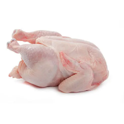 Wholesale Chickens Frozen ,Frozen Whole Chicken Frozen Chicken Feet For Sale