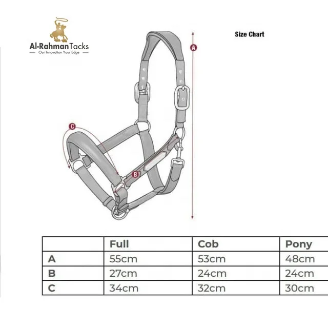 HORSE LEATHER ANATOMICAL HEADCOLLAR HALTER SOFTY PADDED EQUESTRIAN STABLE EQUIPMENT MULTI DESIGNS CUSTOM MANUFACTURER
